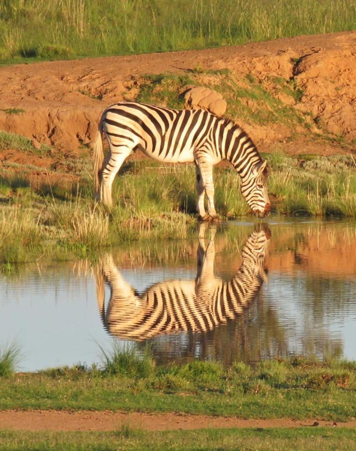 Smithfield Letsatsi Game Lodge מראה חיצוני תמונה