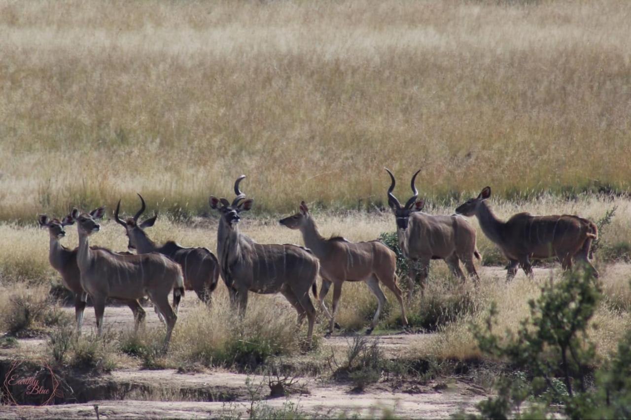 Smithfield Letsatsi Game Lodge מראה חיצוני תמונה
