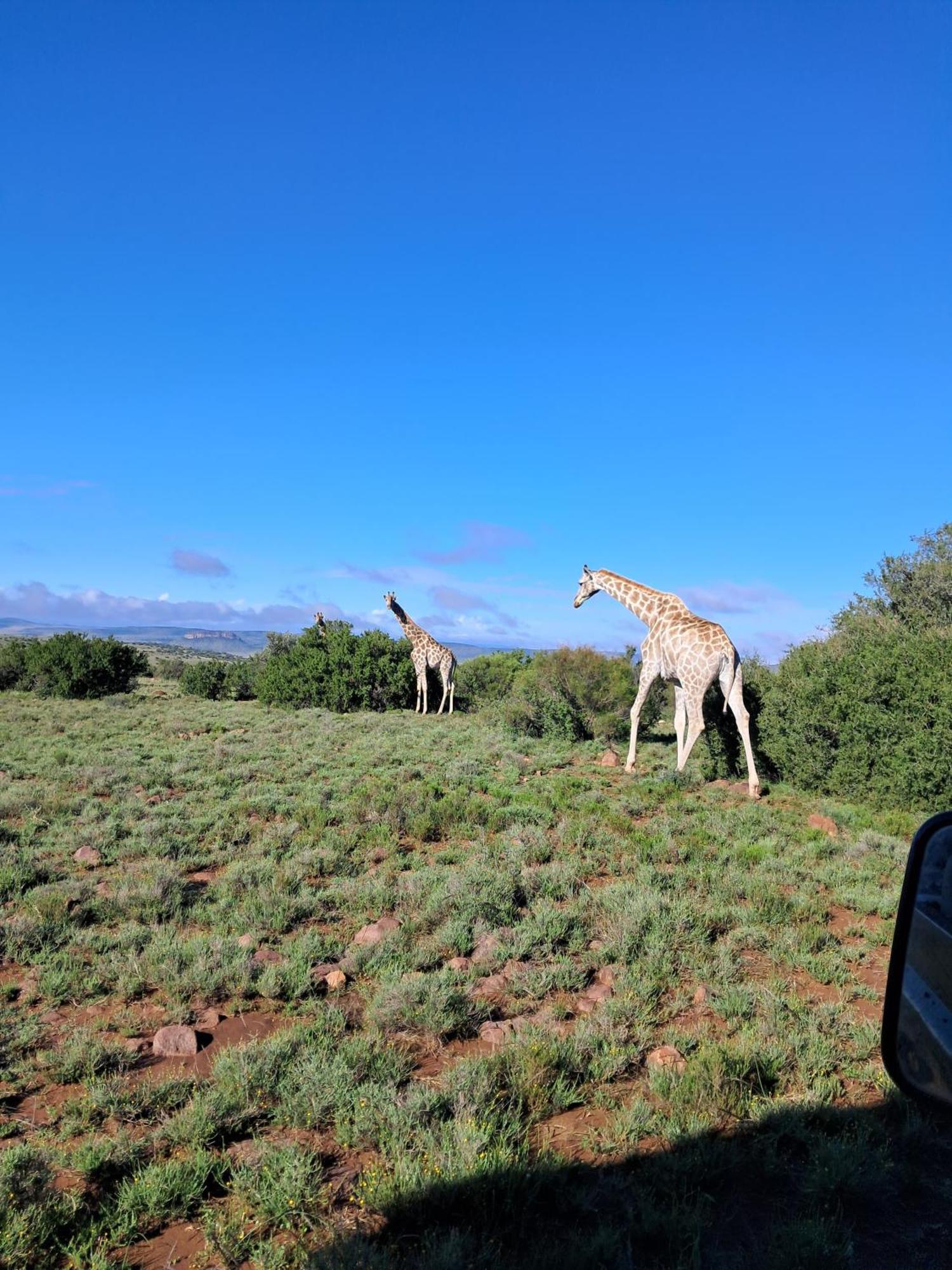 Smithfield Letsatsi Game Lodge מראה חיצוני תמונה