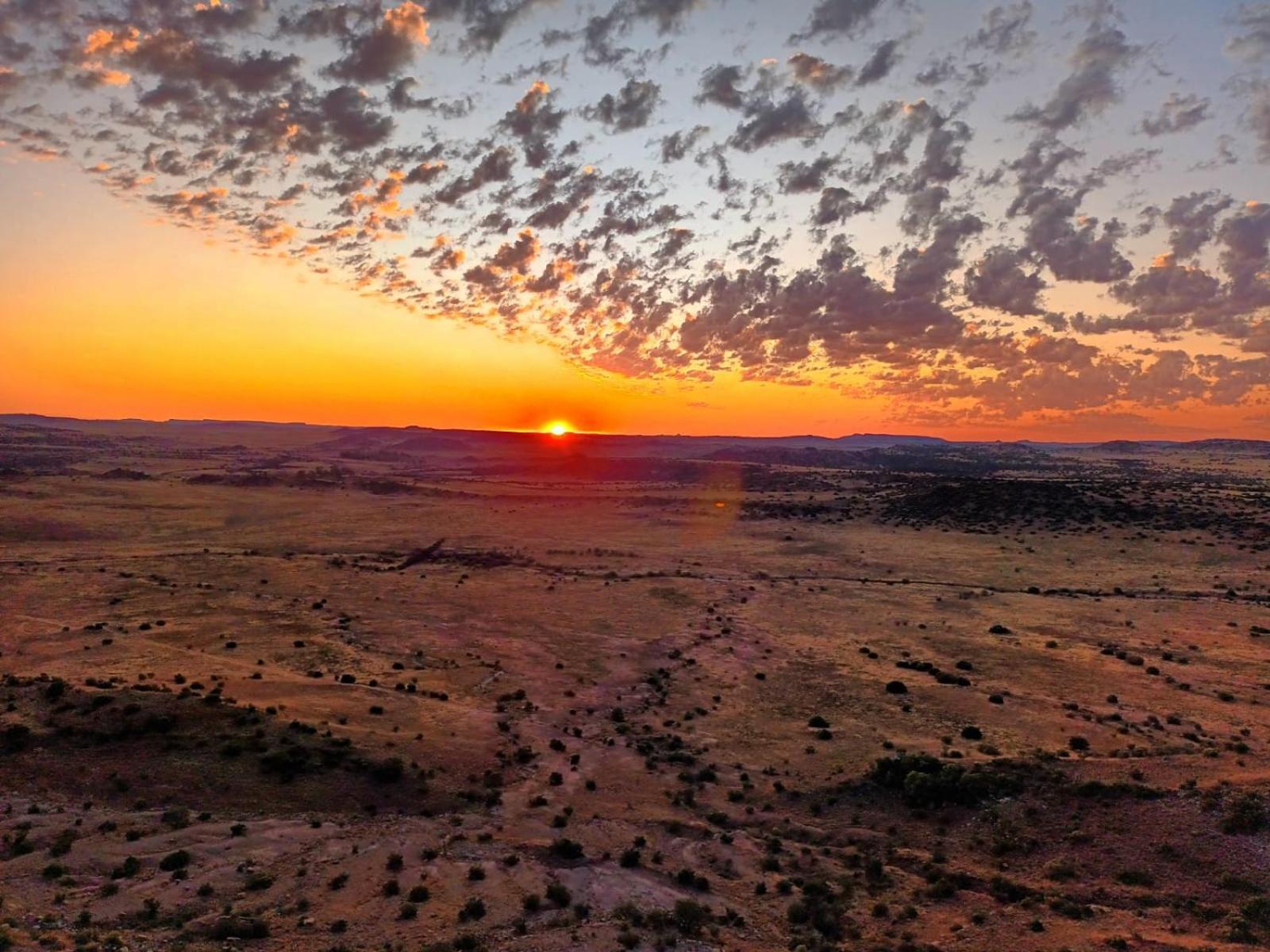 Smithfield Letsatsi Game Lodge מראה חיצוני תמונה